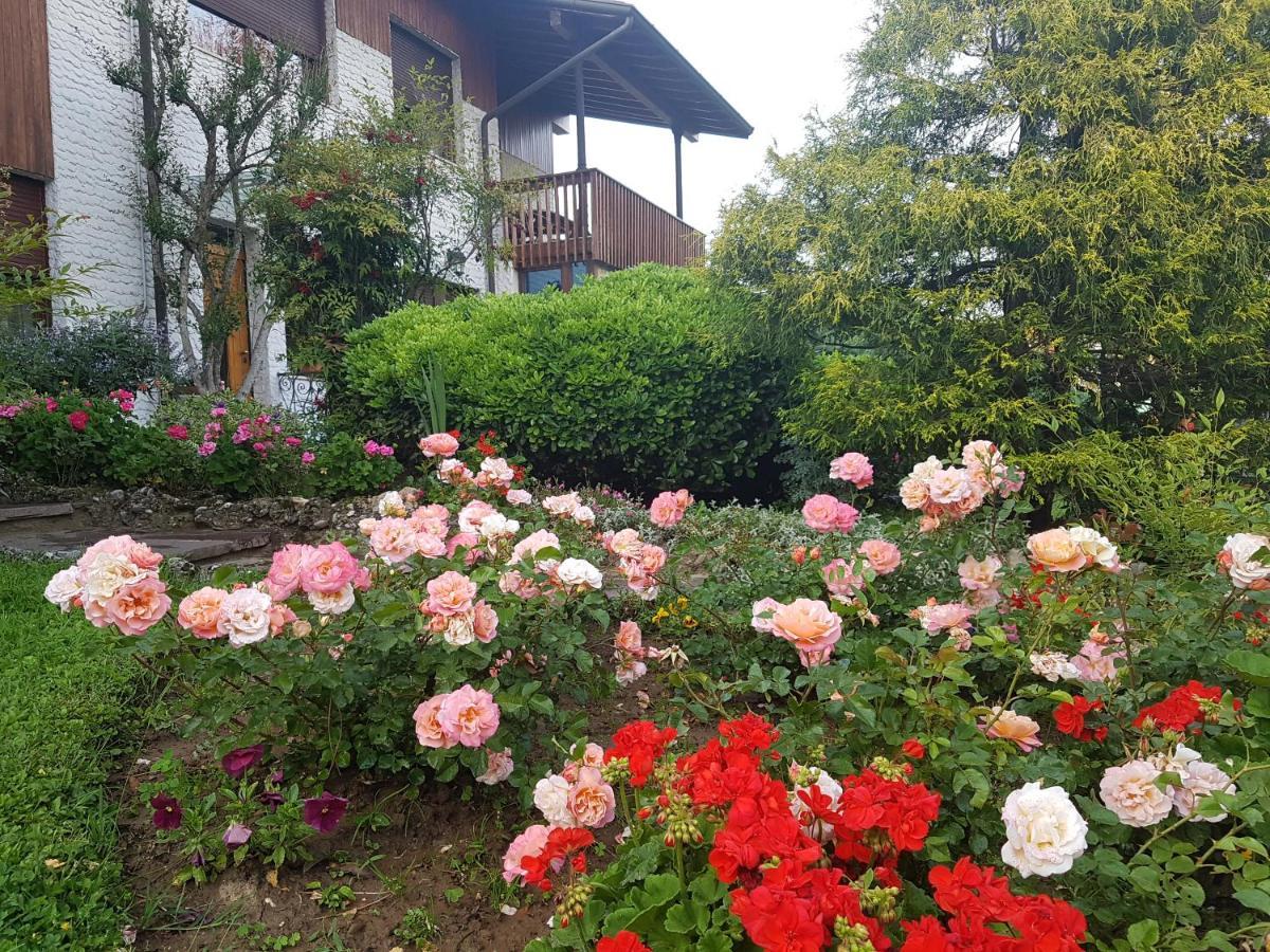 B&B Fontanella Curno Екстер'єр фото
